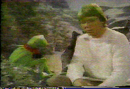 [JD with Kermit]